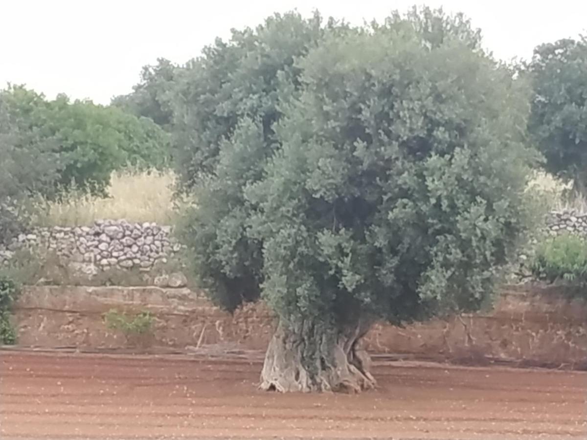 Masseria Auina Ξενοδοχείο Φαζάνο Εξωτερικό φωτογραφία